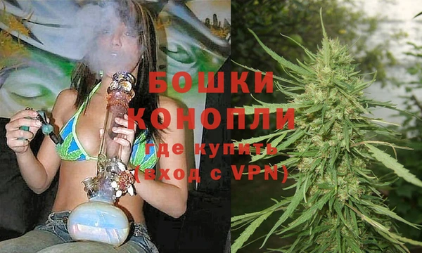тгк Пересвет