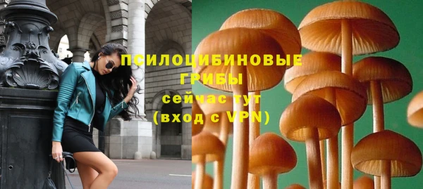 Альфа ПВП Пестово