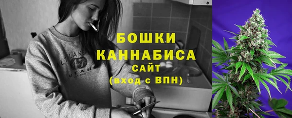 Альфа ПВП Пестово