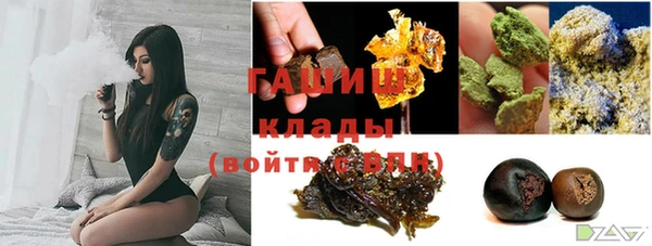 тгк Пересвет