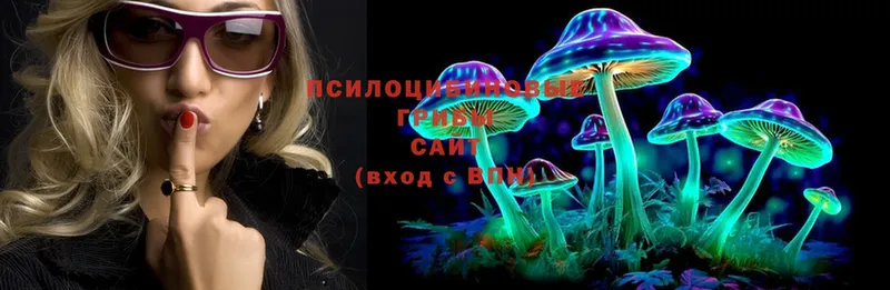 Галлюциногенные грибы MAGIC MUSHROOMS  купить наркотики цена  Бакал 